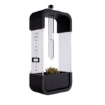 تقویم رو میزی پلنت